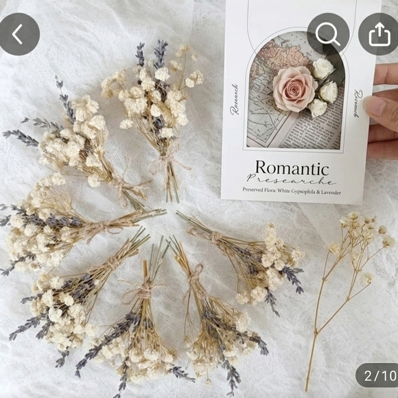 Baby's Breath (Gypsophila) Stem flowers- Dry Flower Bouquet DIY organic Material - Picture 7 of 11